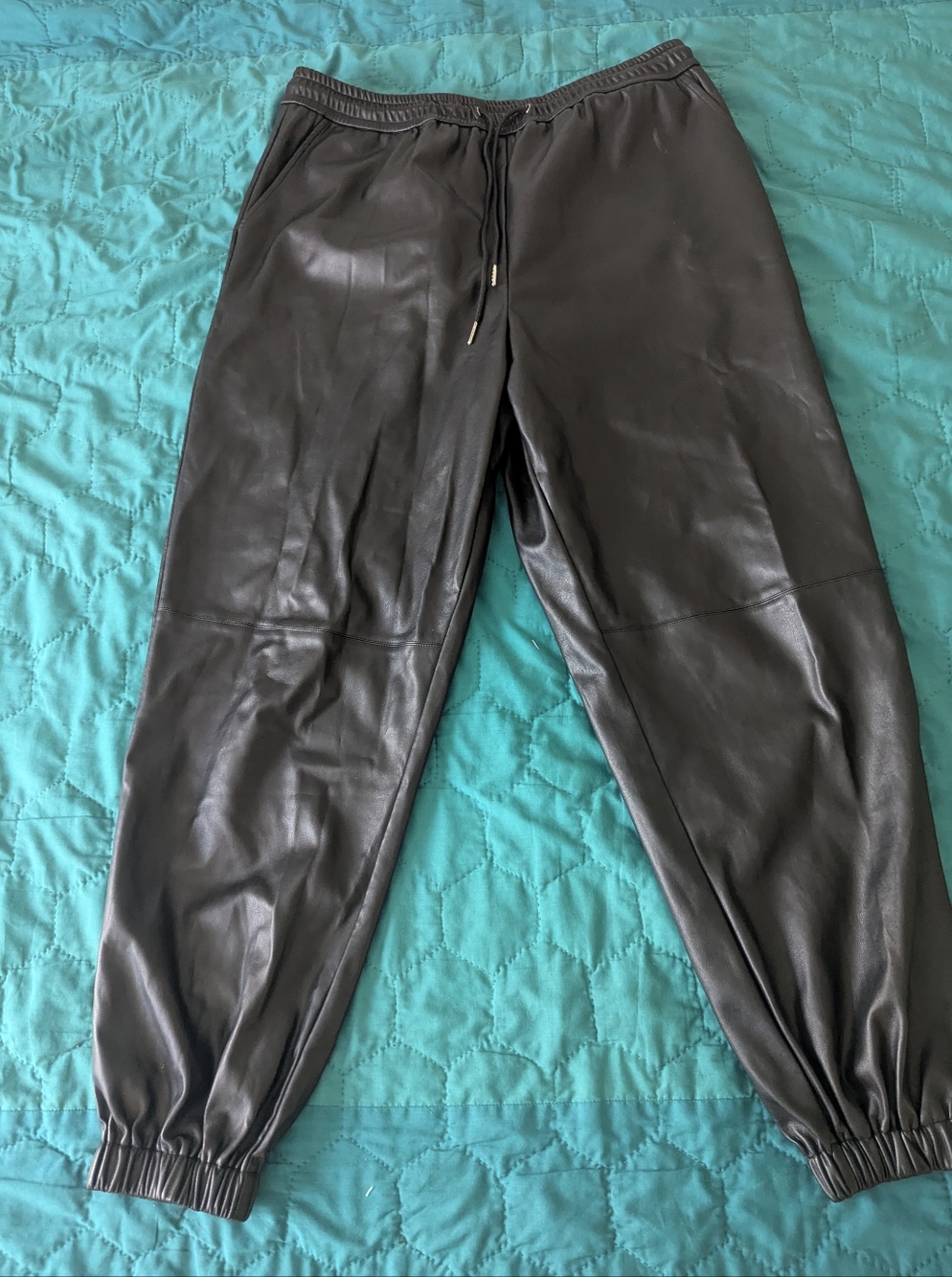 Blackmilk Highway Joggers Faux Leather